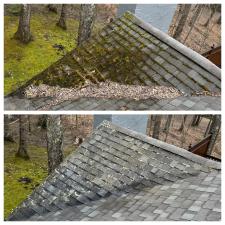 Moss-Free-Majesty-Expert-Roof-Cleaning-and-Moss-Removal-Services 0